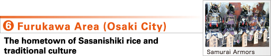 6.Furukawa Area (Osaki City) The hometown of Sasanishiki rice and 
traditional culture