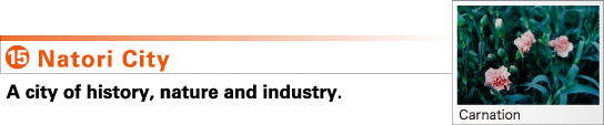 15.Natori City A city of history, nature and industry.
