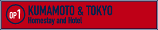 KUMAMOTO & TOKYO Homestay and Hotel $590